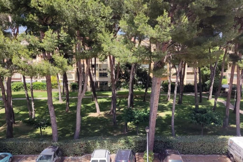 Bel Appartement Avec Piscine Proche Des Plages 锡富尔勒普拉日 外观 照片
